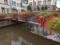 September 2022 Saarland